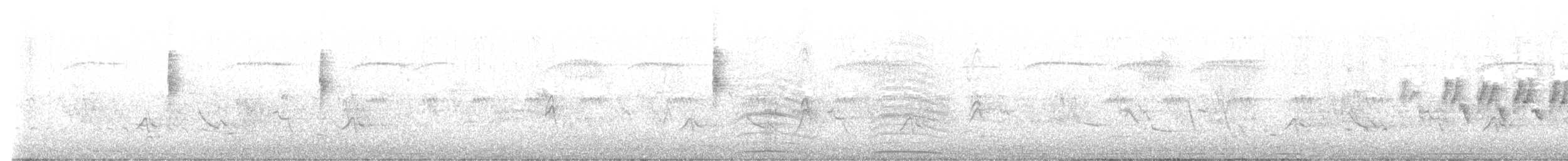 Macgillavray Ötleğeni - ML620532195