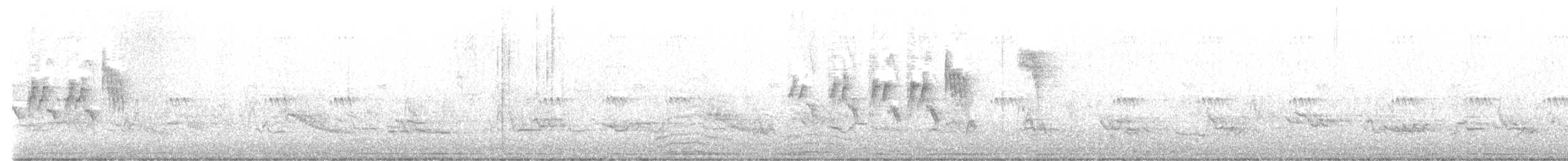 Macgillavray Ötleğeni - ML620532196