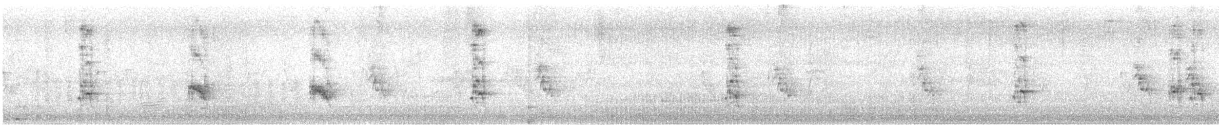 Папужка хвилястий (домашній тип) - ML620532607