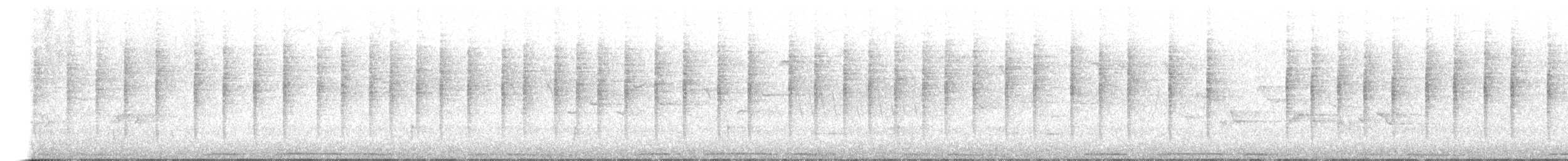 סבכי שחור-כיפה - ML620533893