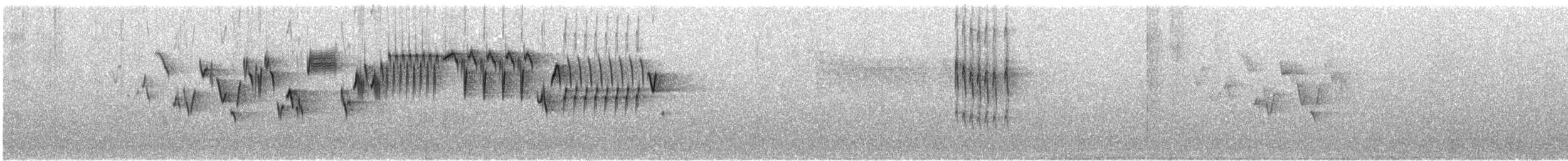 Troglodyte de Baird - ML620534055