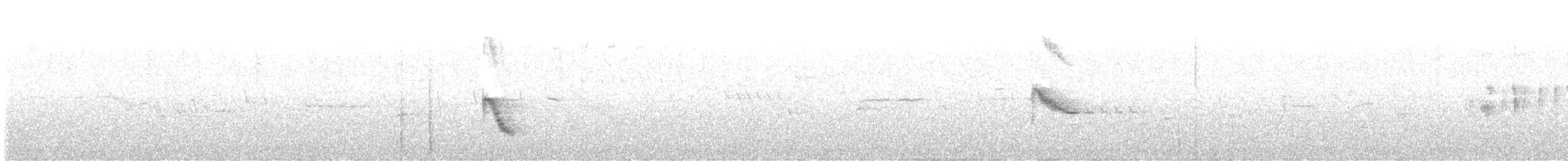 drozd newfoundlandský - ML620535757