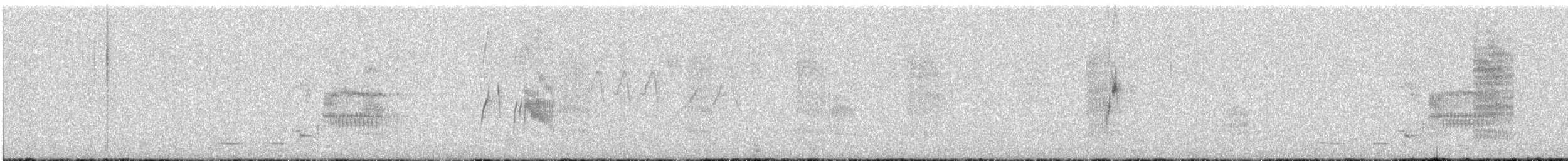 tyranovec vrbový - ML620537264