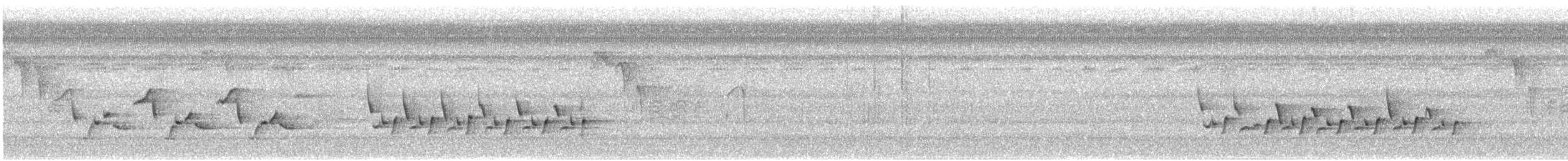 Поплітник каролінський - ML620537615