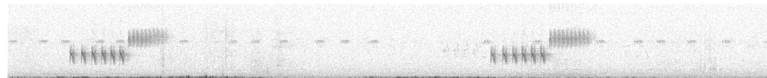 Тауї плямистий - ML620543133