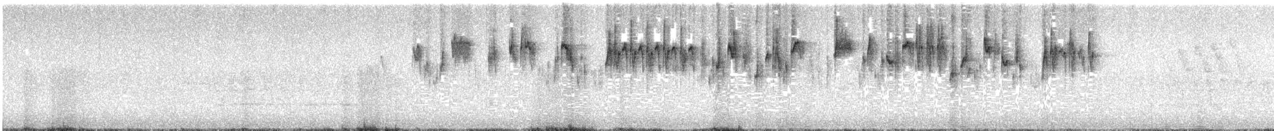 Troglodyte de Baird - ML620556412