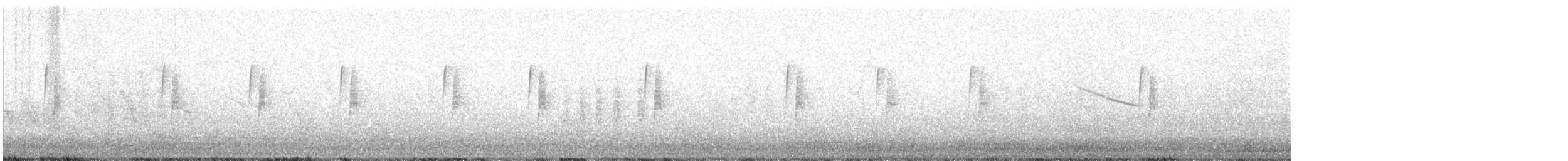 Least Flycatcher - ML620556623