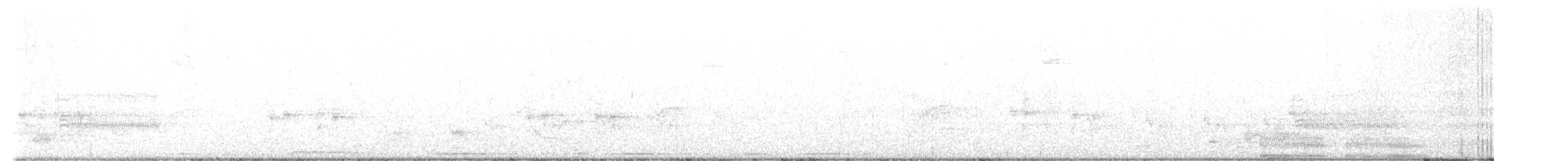 chřástal virginský (ssp. limicola/friedmanni) - ML620557366
