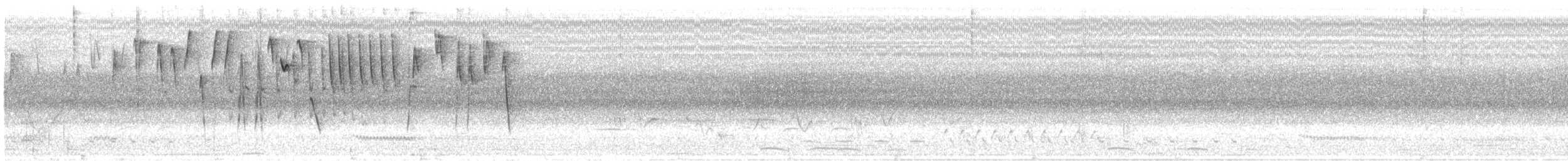 Zimtschwanzammer - ML620557715