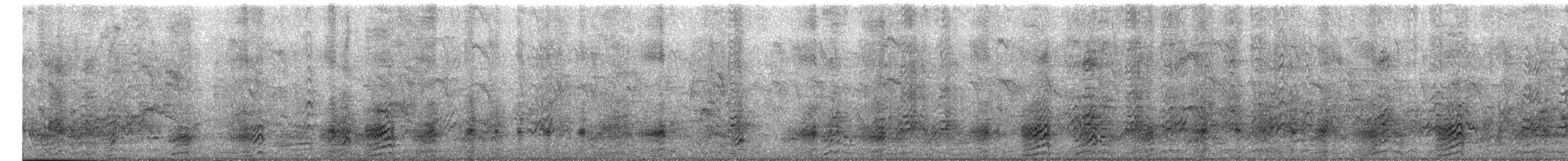 שחפית כהה - ML620558775