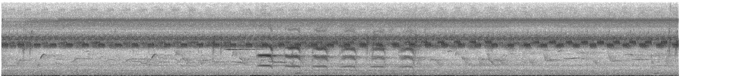 Philippinen-Spatelschwanzpapagei - ML620559797