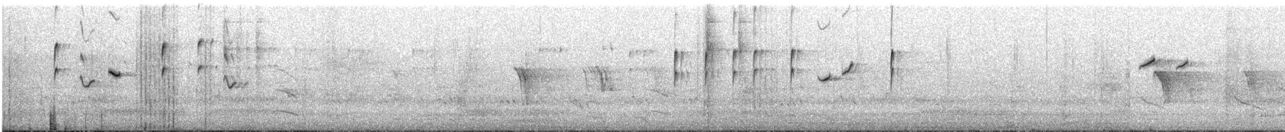 Speckled Warbler - ML620562903