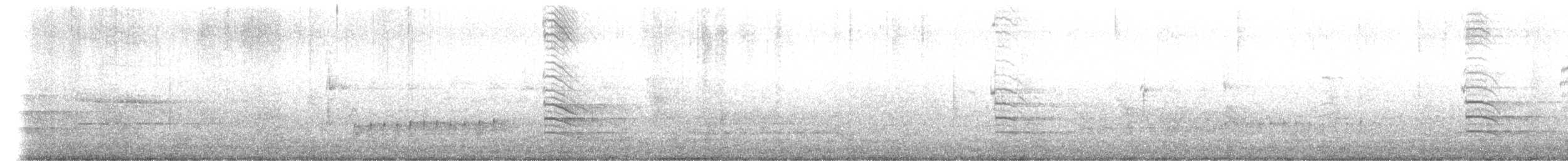 Чайка білошия (підвид miles) - ML620563261