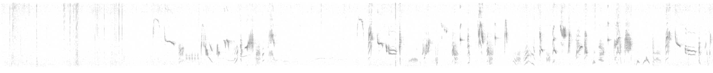 Txinbo papargorrizta iberiarra - ML620563565