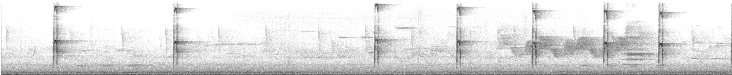 indianerspett (villosus gr.) - ML620564849