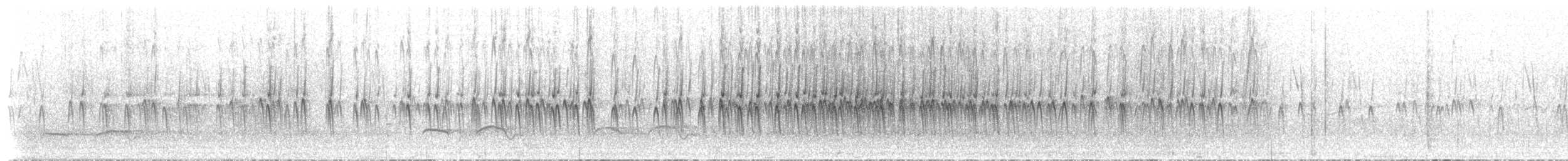 Bec-croisé des sapins - ML620565065