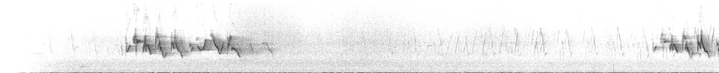 Uzun Kuyruklu Çütre (lepidus/henrici) - ML620565082