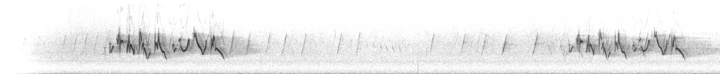 Uzun Kuyruklu Çütre (lepidus/henrici) - ML620565087