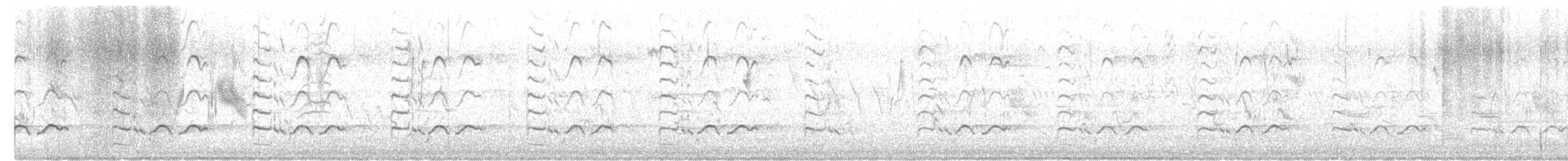 Chevalier semipalmé - ML620567099