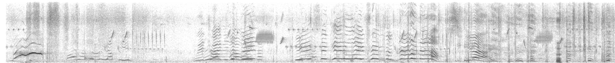 Chevalier semipalmé - ML620567210