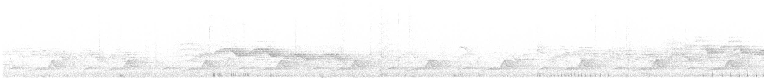 Schwarzkehl-Nachtschwalbe - ML620567876