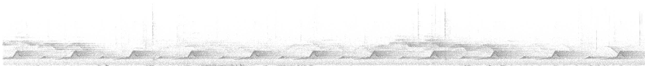 Schwarzkehl-Nachtschwalbe - ML620567877