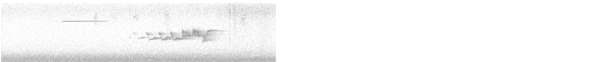 Black-throated Gray Warbler - ML620569910