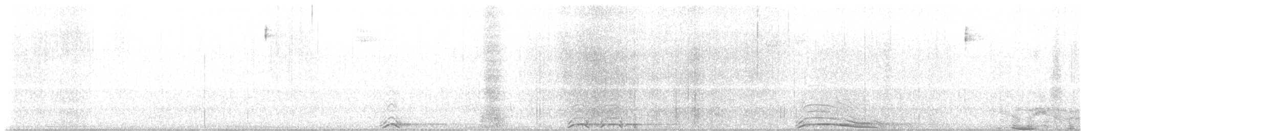 Сова плямиста - ML620570004