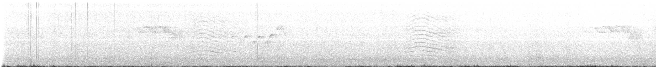 Miaulari grisa - ML620571628
