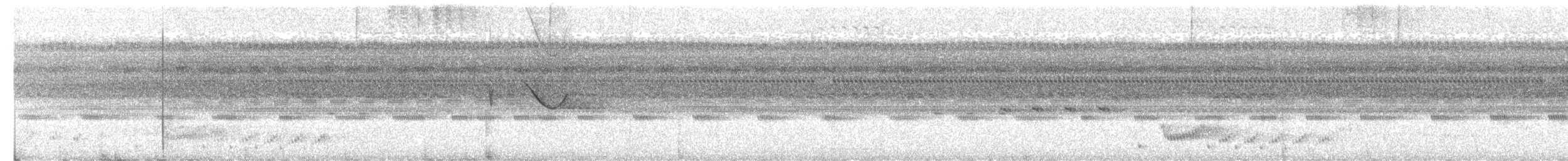 Spot-tailed Nightjar - ML620572326