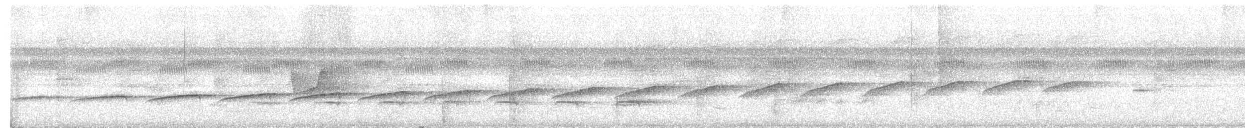 Мурав’янка-куцохвіст велика - ML620573263
