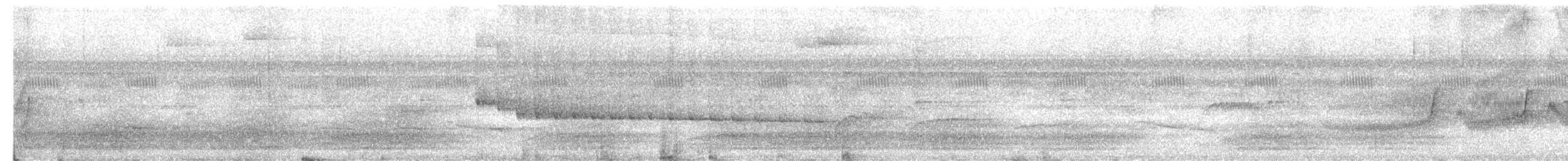 Мурав’янка-куцохвіст велика - ML620573264