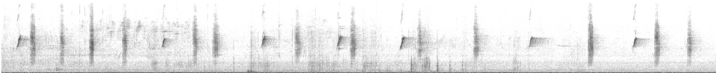 דוחל שחור-גרון - ML620573534