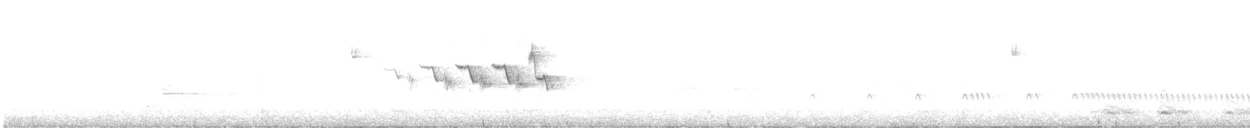 Black-throated Gray Warbler - ML620573650