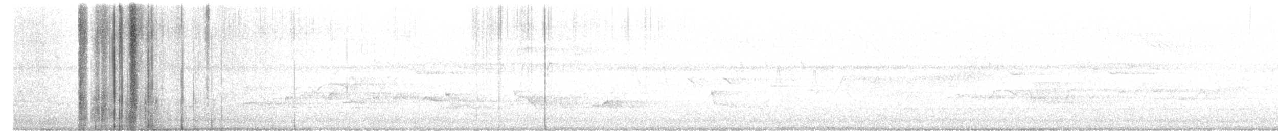Mosquero sp. (Empidonax sp.) - ML620573899