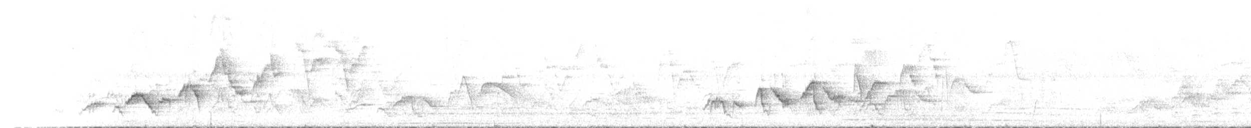 Дрізд-короткодзьоб Cвенсона - ML620575492