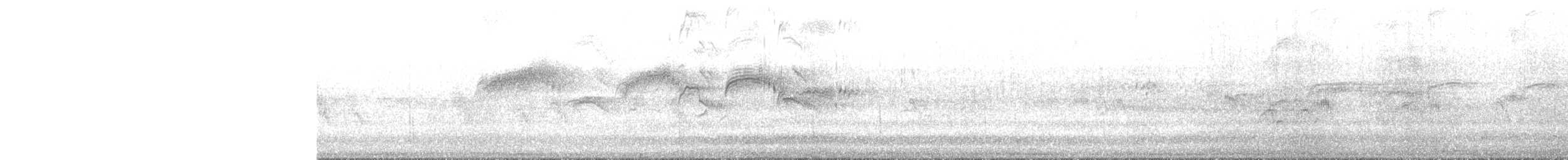 Rondone comune - ML620576441