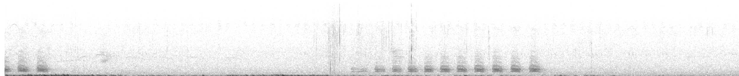 Trogon élégant (groupe ambiguus) - ML620582588