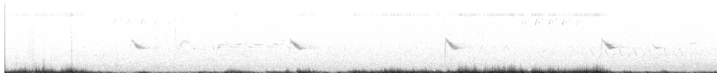Дрізд-короткодзьоб канадський - ML620582643