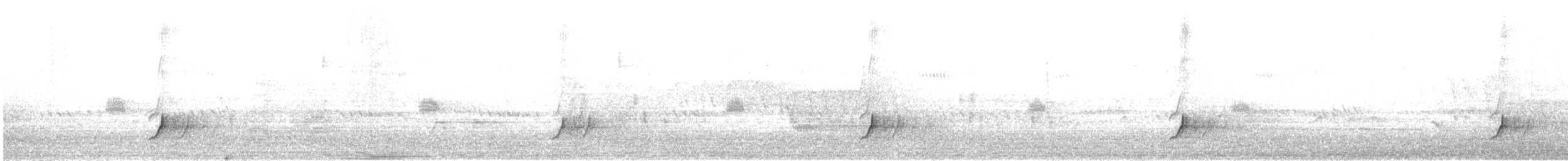 Boz Alınlı Sinekkapan - ML620582912