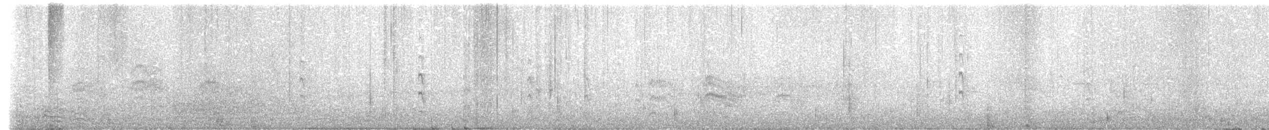 カモメ（canus） - ML620583758