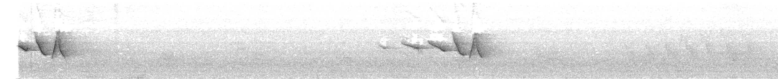 Swainson's Warbler - ML620584420