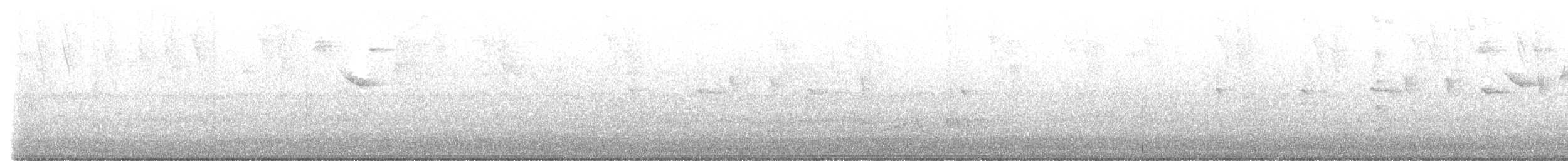 Golden-tailed Sapphire - ML620584999