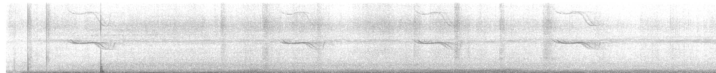 Breitspiegel-Nachtschwalbe - ML620585455