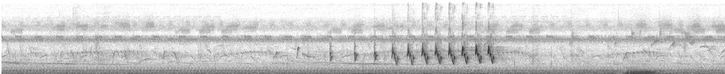 Streifenbuschsänger - ML620585829