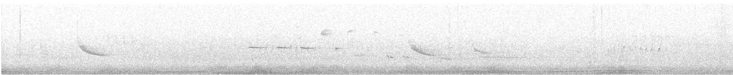 Troglodyte des marais - ML620587442