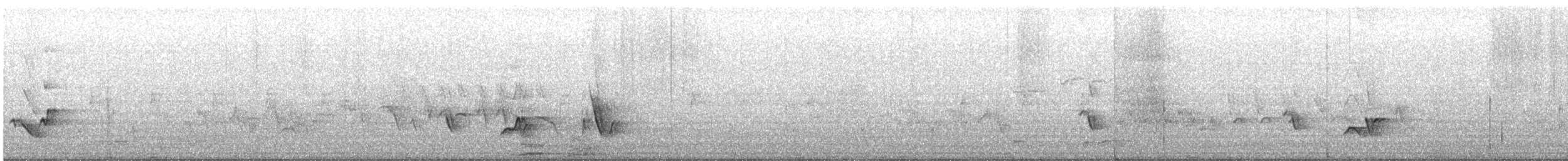 Черноголовый толстонос - ML620588184