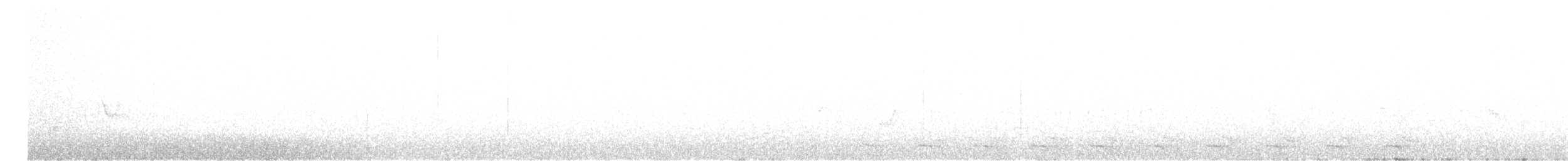 Trogon élégant (groupe ambiguus) - ML620589068