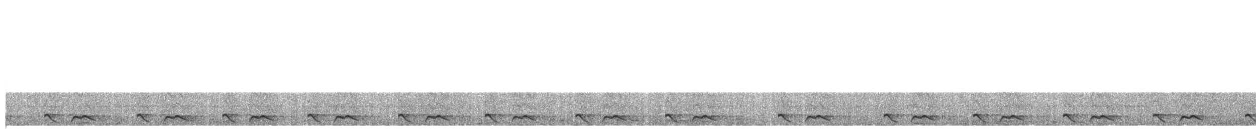 Salvin Çobanaldatanı - ML620589235