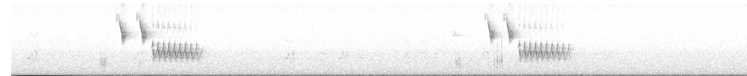 Тауї плямистий (підвид macronyx) - ML620589824